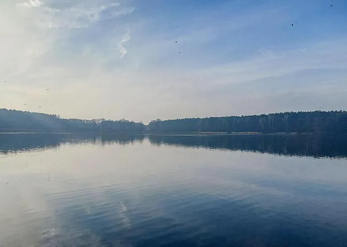 度假居 2 Bedroom Pet Friendly In Wilcze (Greater Poland)