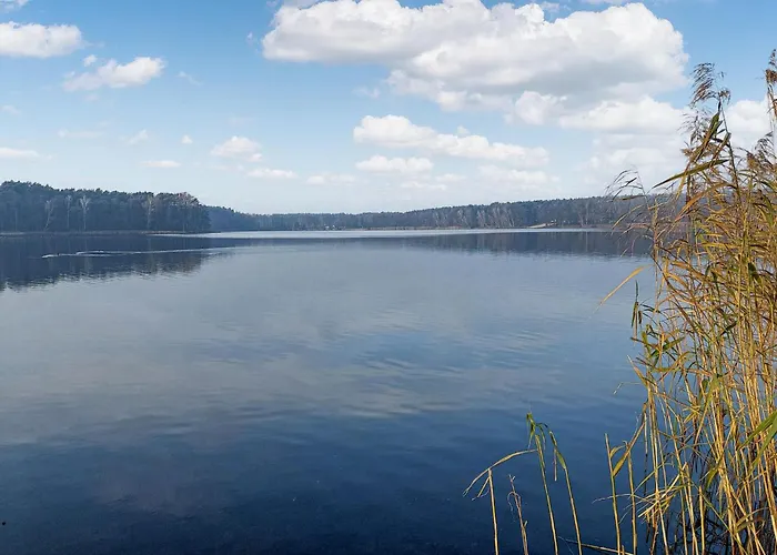 度假居 2 Bedroom Pet Friendly In